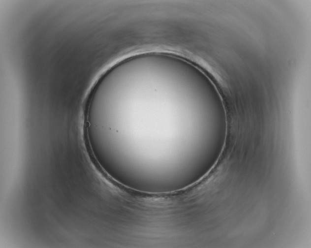 X0000112851508200908211250