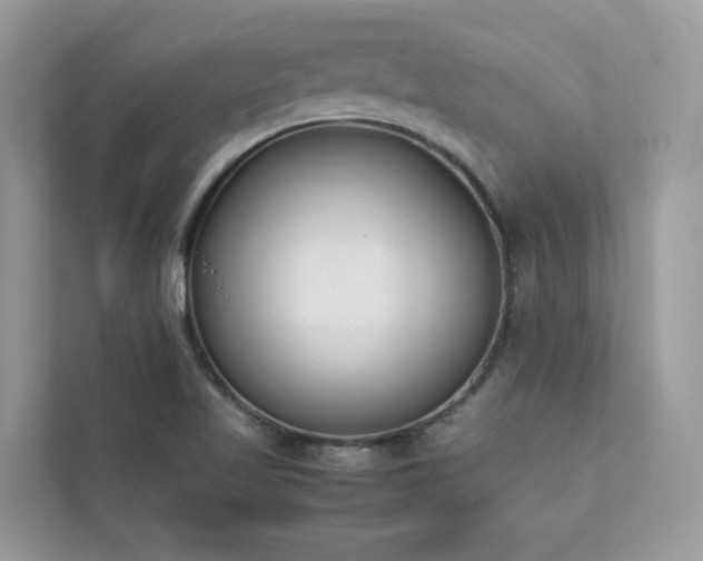 X0000112851509200908211250