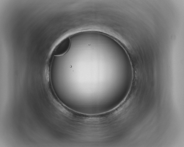 X0000112851510200908211250
