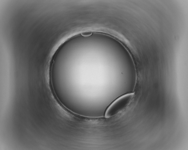 X0000112851512200908211250