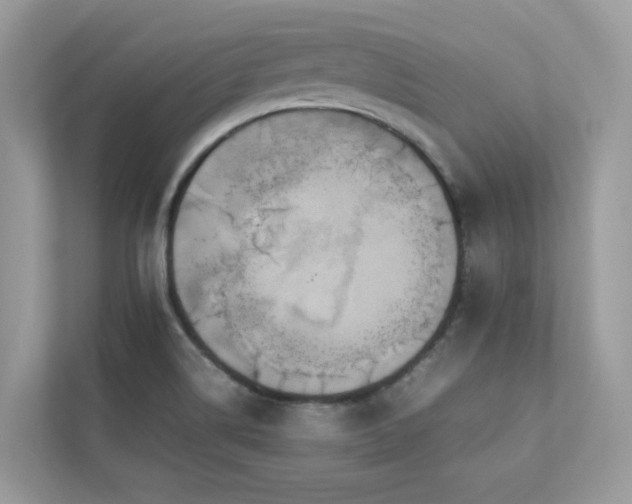 X0000112851514200908211250
