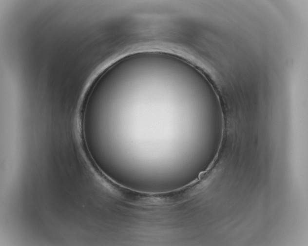 X0000112851517200908211250