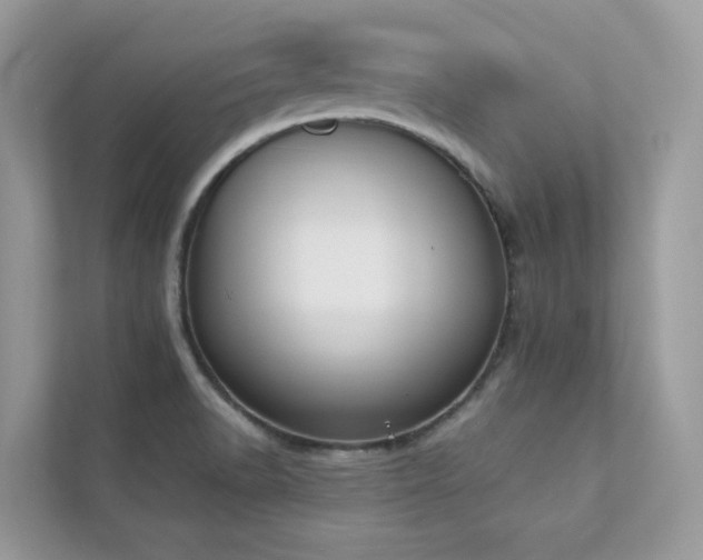 X0000112851518200908211250