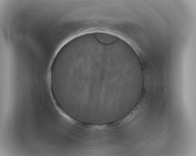 X0000112851519200908211250