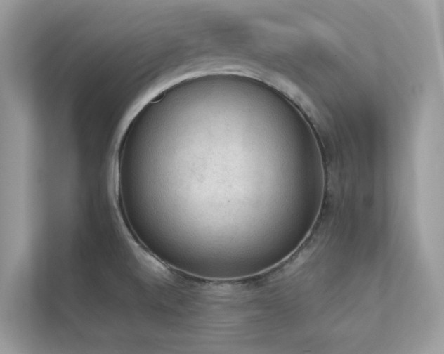 X0000112851520200908211250