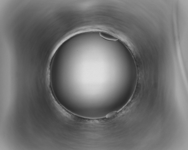 X0000112851524200908211250