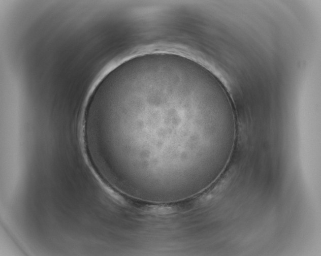 X0000112851525200908211250