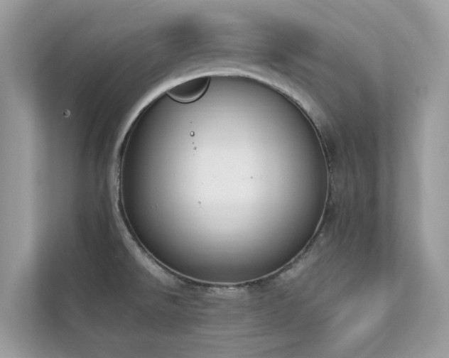 X0000112851526200908211250