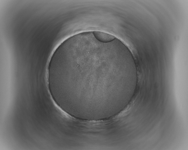 X0000112851527200908211250