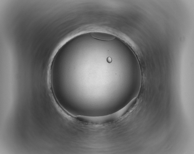 X0000112851528200908211250