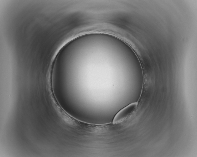 X0000112851530200908211250