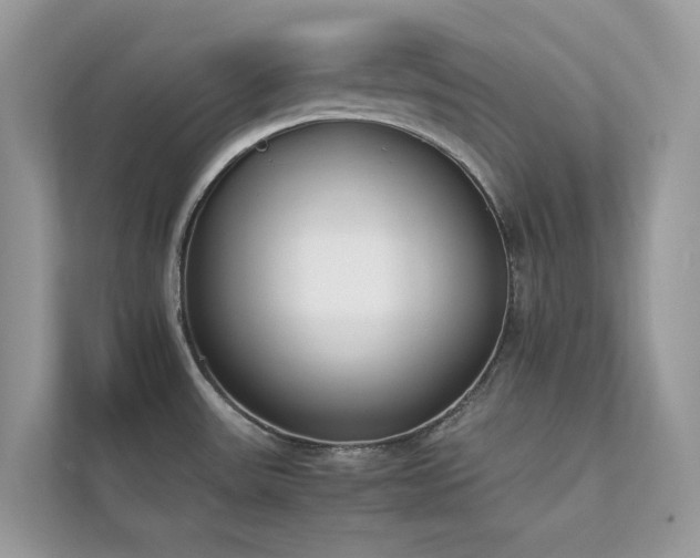 X0000112851531200908211250
