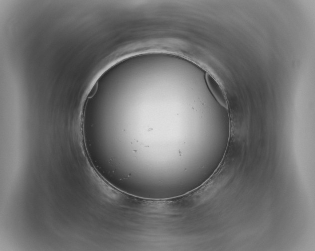 X0000112851532200908211250