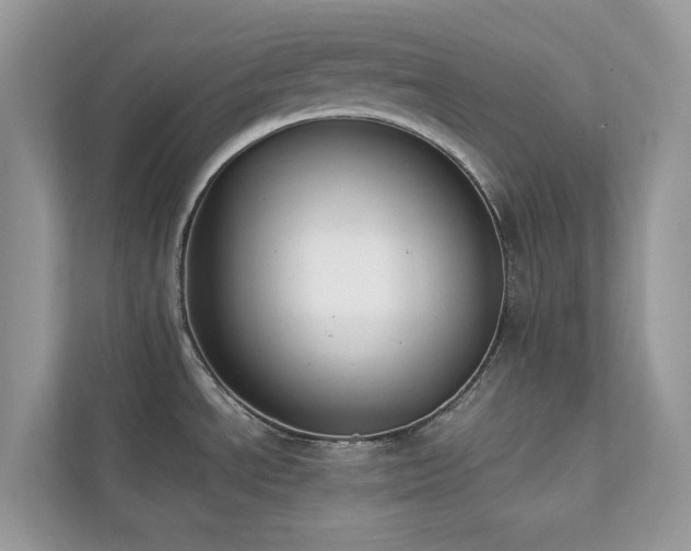 X0000112851534200908211250