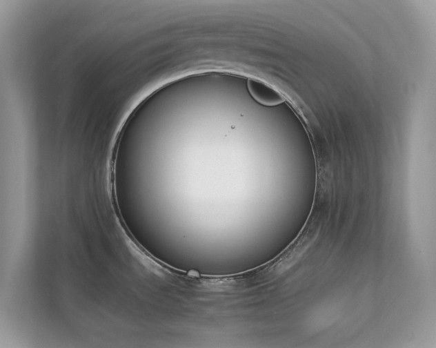 X0000112851535200908211250