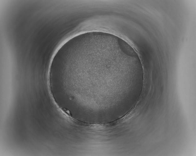 X0000112851536200908211250