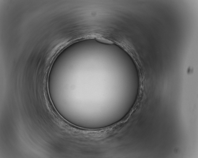 X0000112850001200908281614