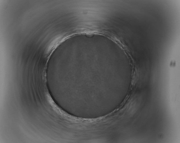 X0000112850002200908281614