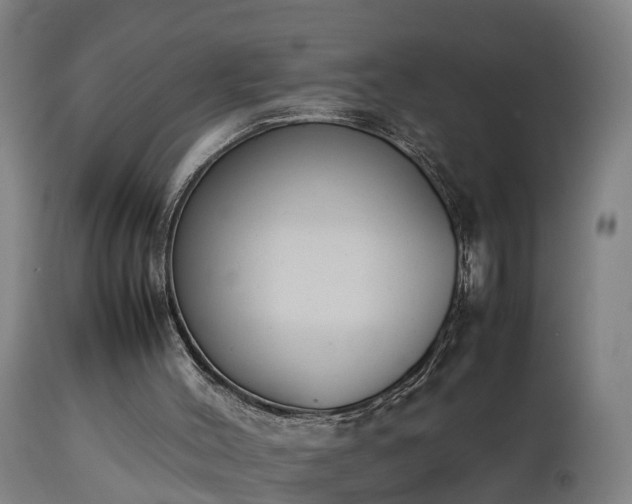 X0000112850004200908281614