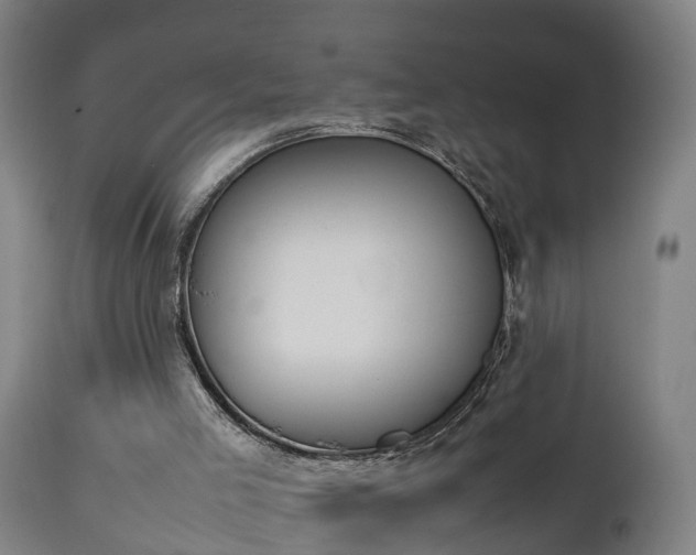 X0000112850005200908281614