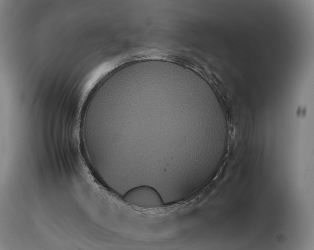 X0000112850006200908281614