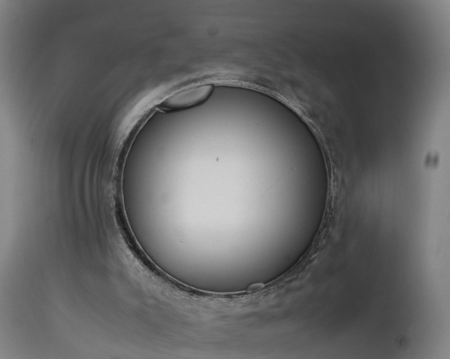 X0000112850007200908281614