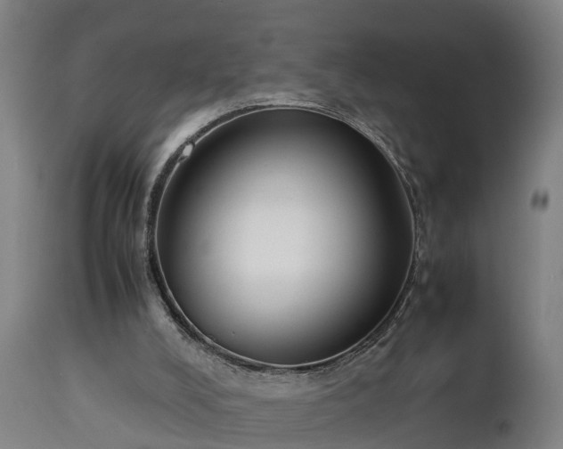 X0000112850008200908281614