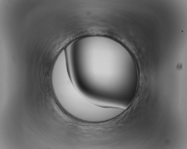 X0000112850009200908281614