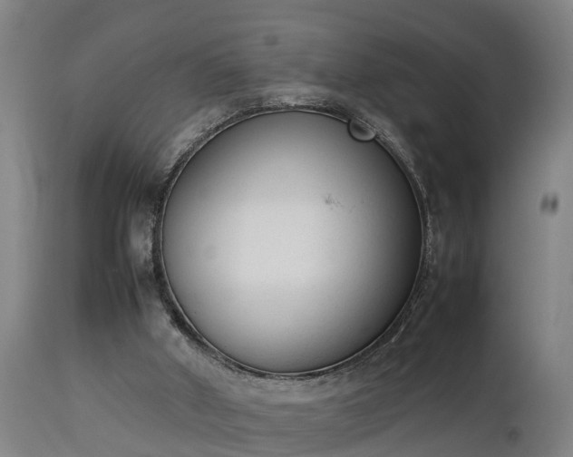 X0000112850010200908281614