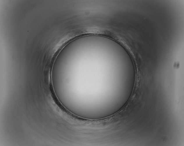 X0000112850011200908281614