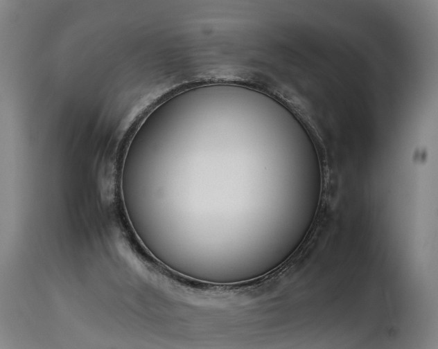 X0000112850012200908281614