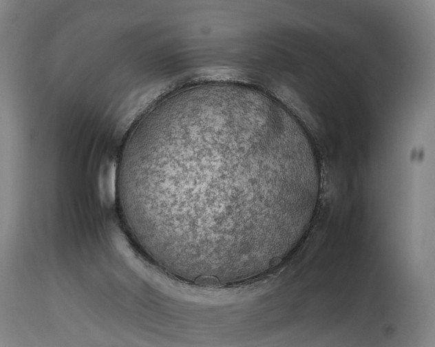 X0000112850014200908281614