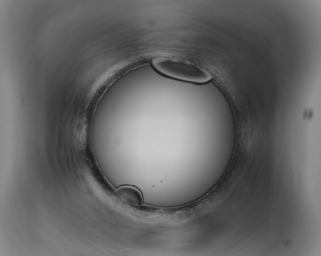 X0000112850016200908281614