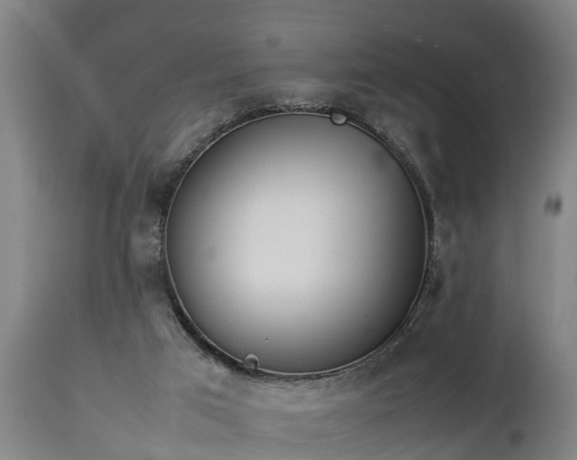 X0000112850017200908281614