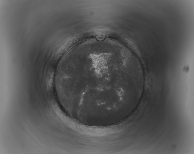 X0000112850018200908281614