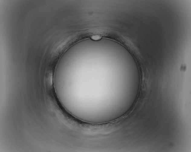 X0000112850021200908281614