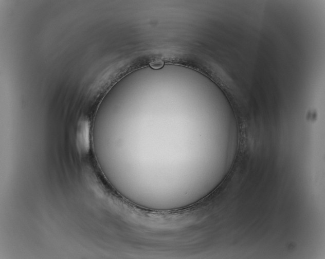 X0000112850022200908281614