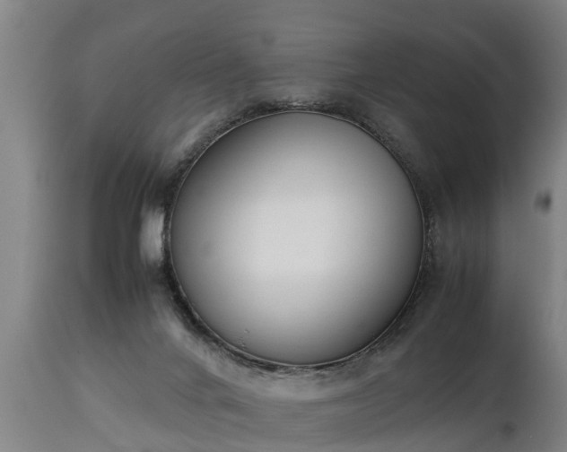 X0000112850024200908281614