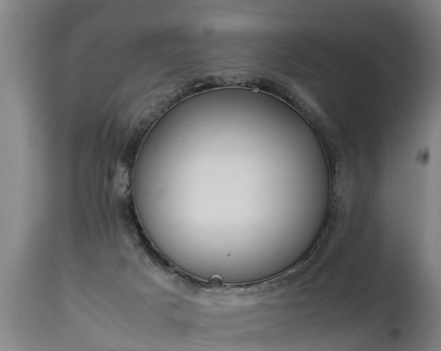 X0000112850025200908281614