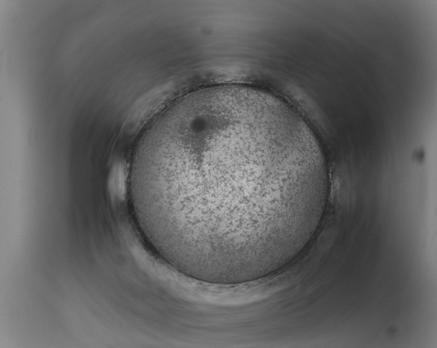 X0000112850026200908281614