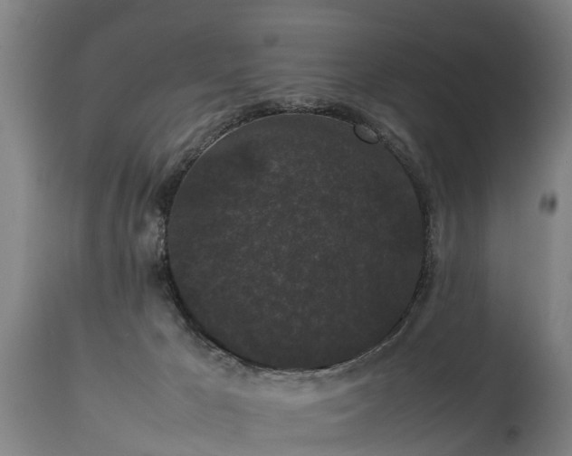 X0000112850029200908281614