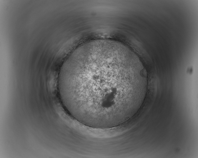 X0000112850030200908281614