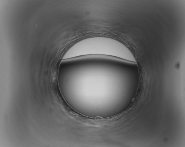 X0000112850033200908281614