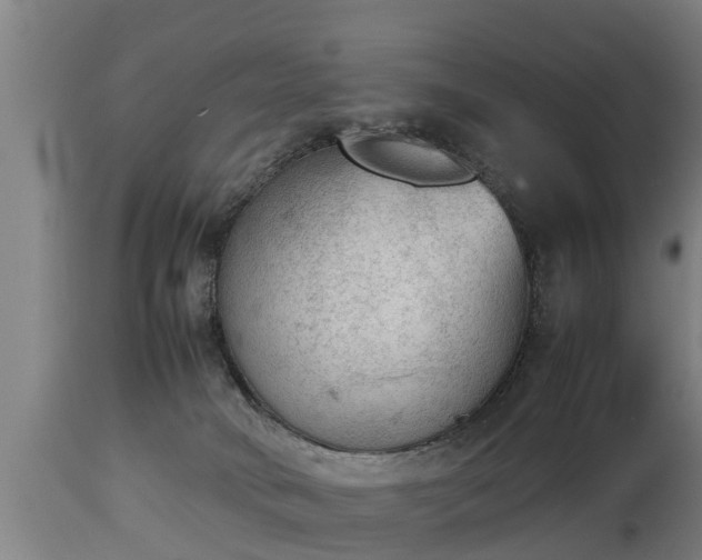 X0000112850034200908281614