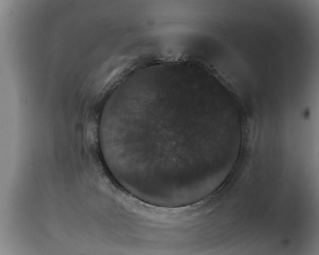 X0000112850035200908281614