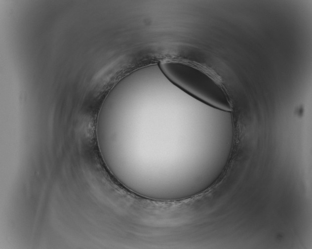 X0000112850037200908281614