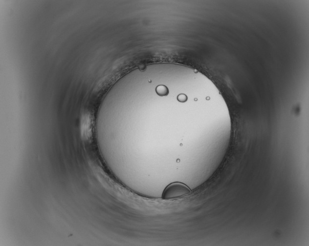 X0000112850038200908281614