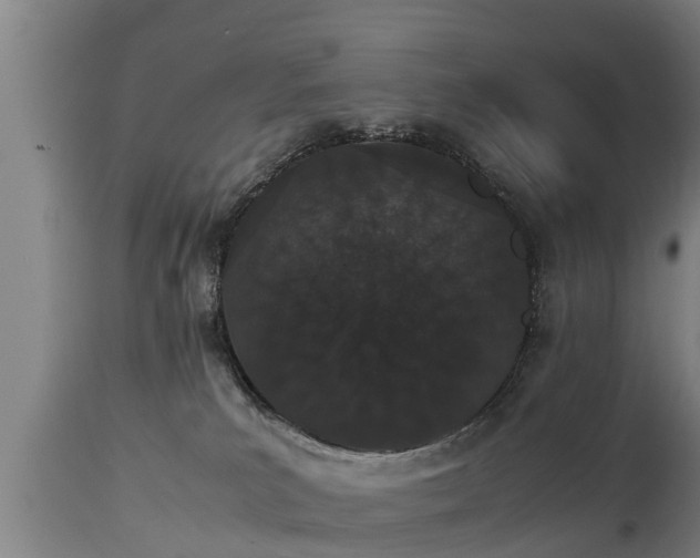 X0000112850039200908281614