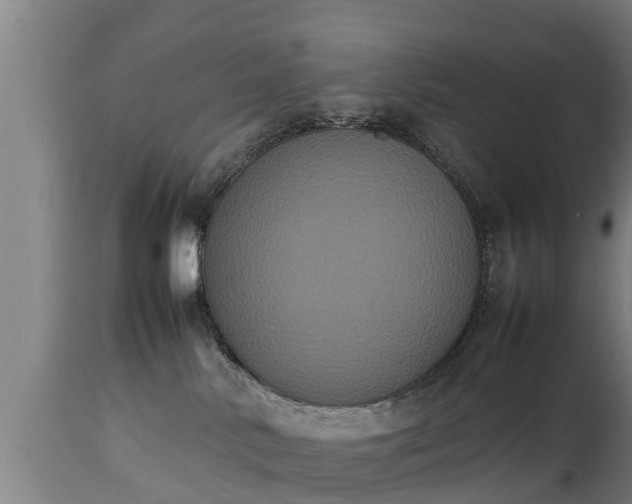 X0000112850042200908281614