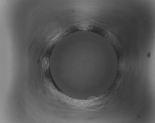 X0000112850043200908281614